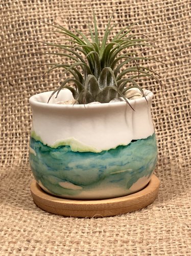 Green Mini Pot with Air Plant